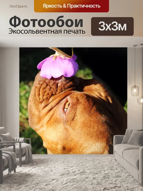 Фотообои Цветок