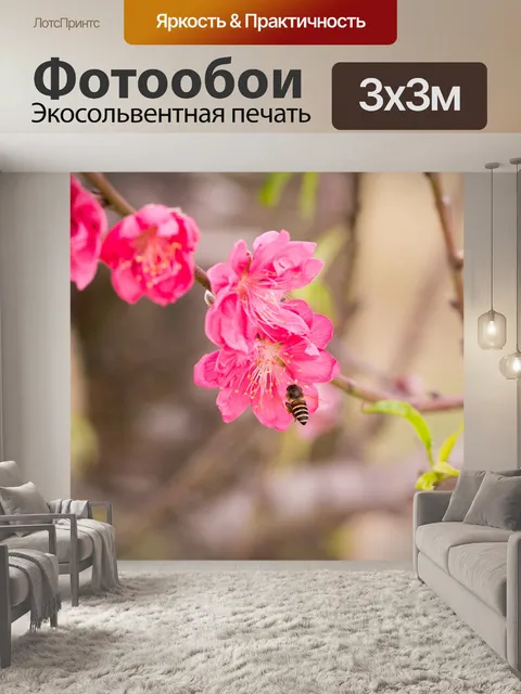 Фотообои Персик