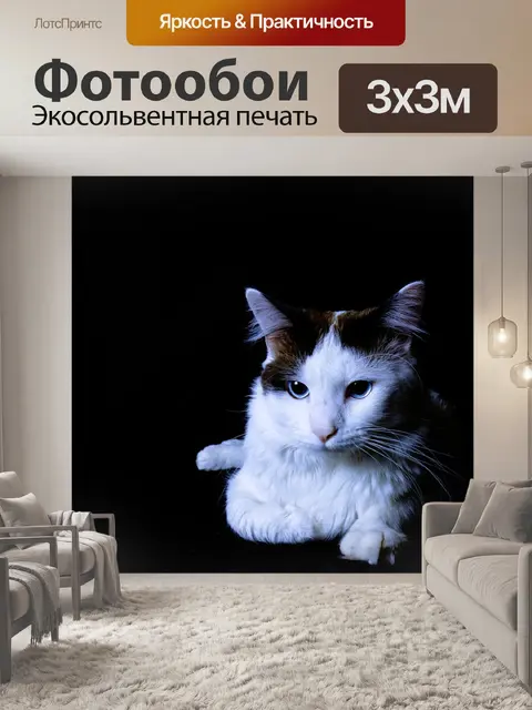 Фотообои Кошка