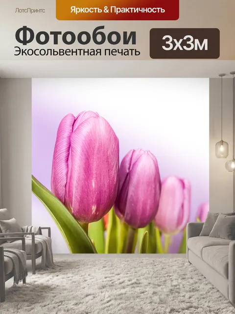 Фотообои Тюльпаны