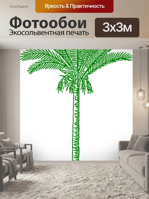 Фотообои Пальмы