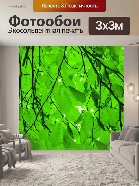 Фотообои Зеленые листья бука