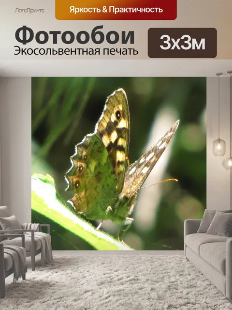 Фотообои Коричневая бабочка 5
