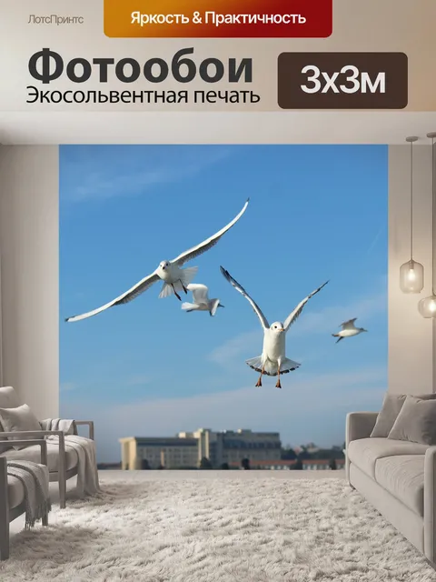 Фотообои Чайка