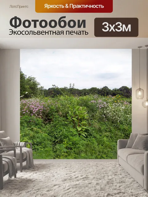 Фотообои Полевые цветы в поле