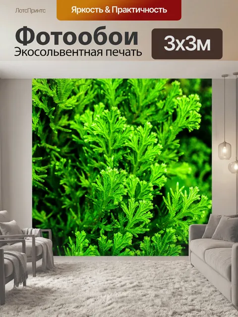Фотообои Фон из листьев папоротника