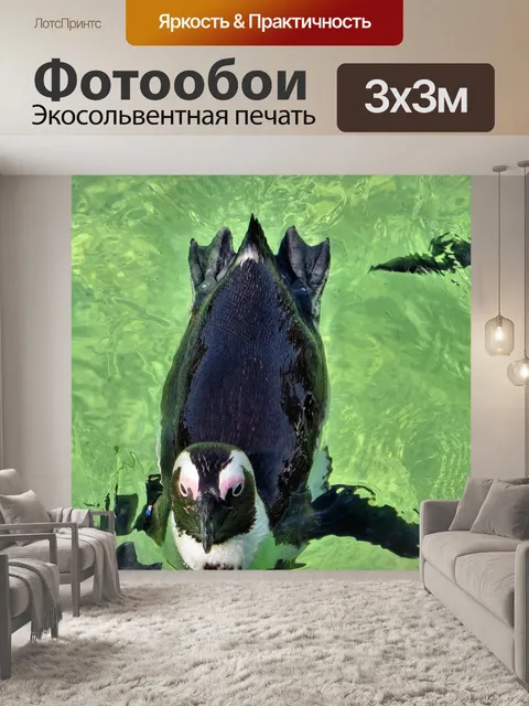 Фотообои Южная африка