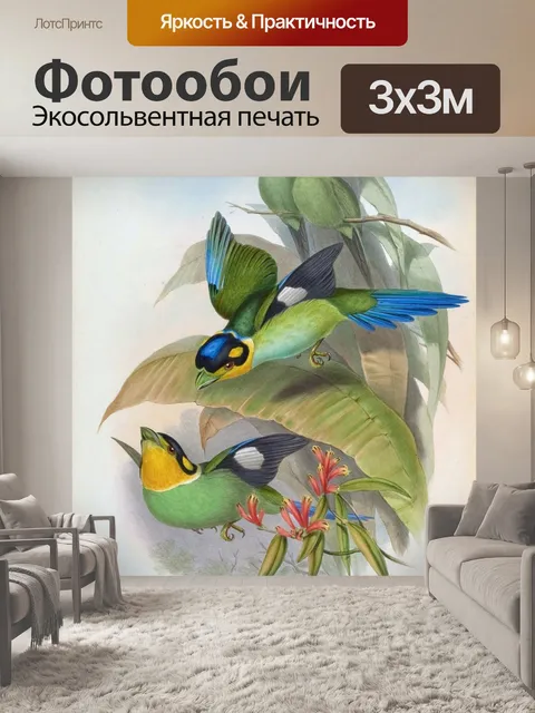 Фотообои Иллюстрация винтажного искусства птиц