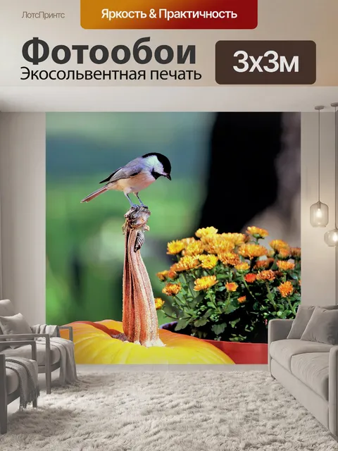 Фотообои Чернокожий Чикади на тыкве