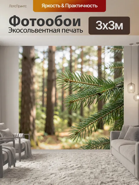 Фотообои Еловая ветка в лесу