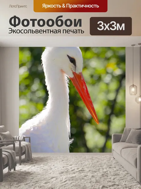 Фотообои Природа