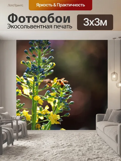 Фотообои цветущее растение брокколи