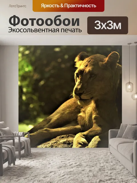 Фотообои Львица