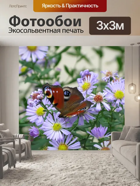 Фотообои Бабочка