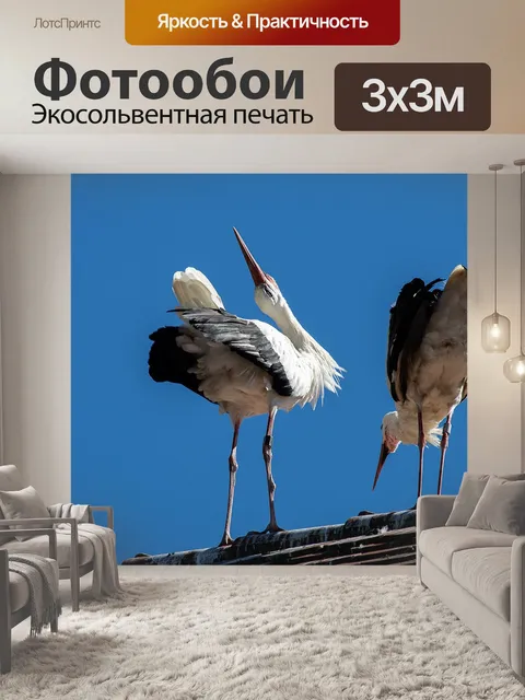 Фотообои Аист