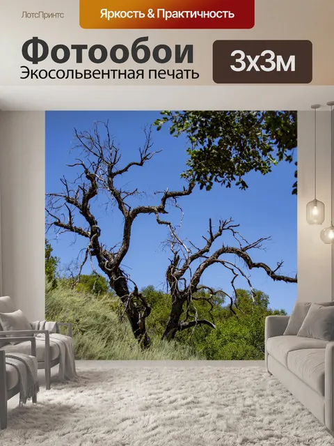 Фотообои мертвое дерево