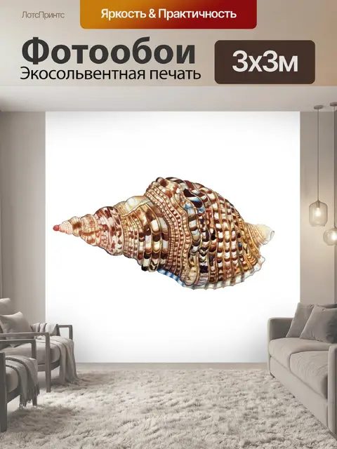 Фотообои Морская ракушка клипарт винтажное искусс