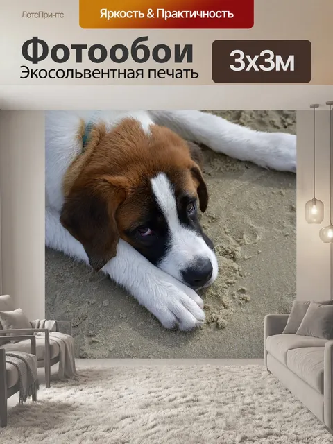 Фотообои Собака