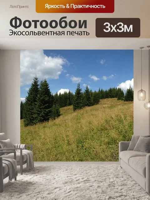 Фотообои След
