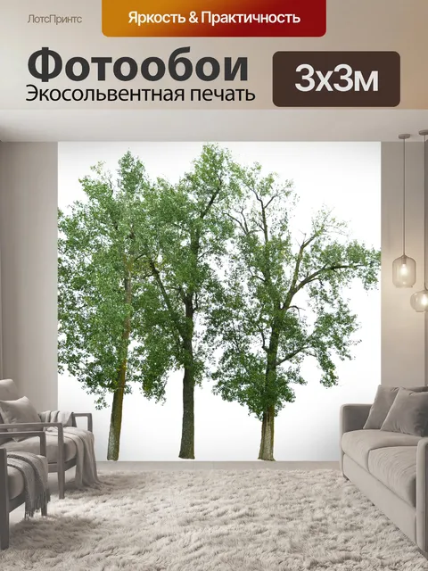 Фотообои Деревья