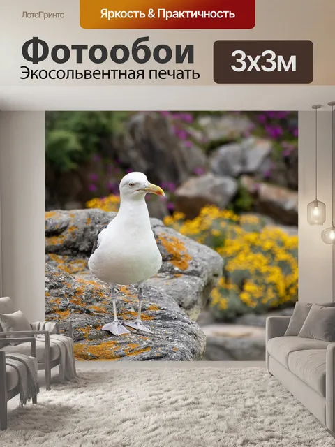 Фотообои Чайка