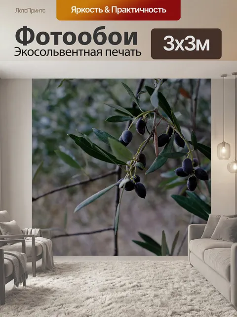 Фотообои Оливка