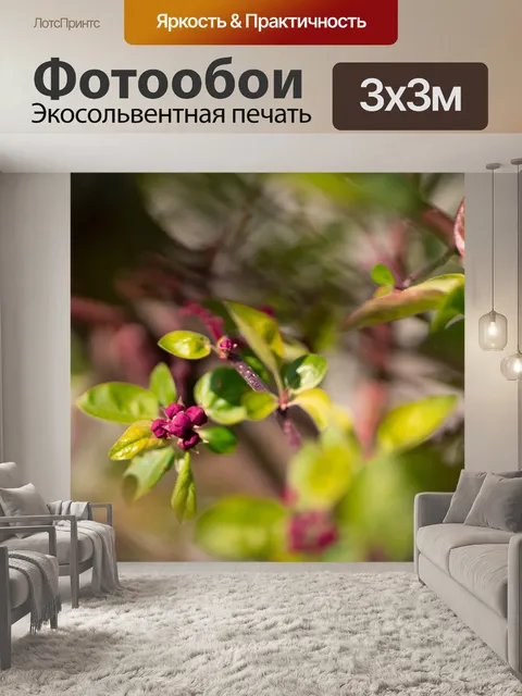 Фотообои Цветы