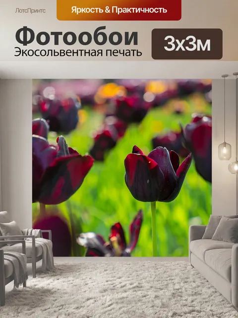 Фотообои Тюльпаны