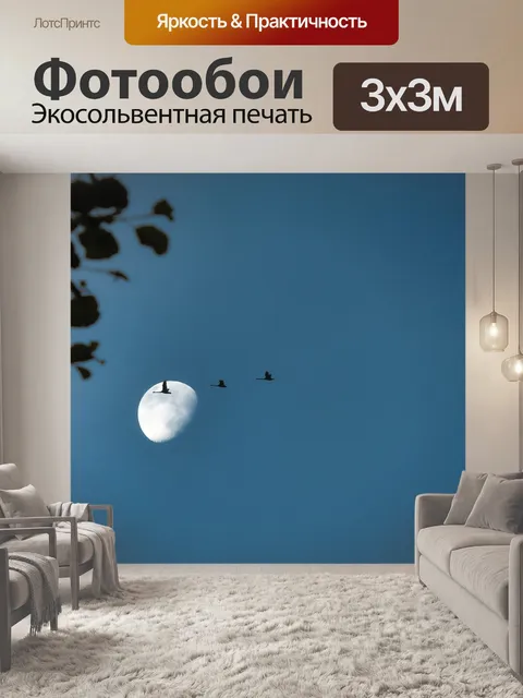 Фотообои Перелетные птицы