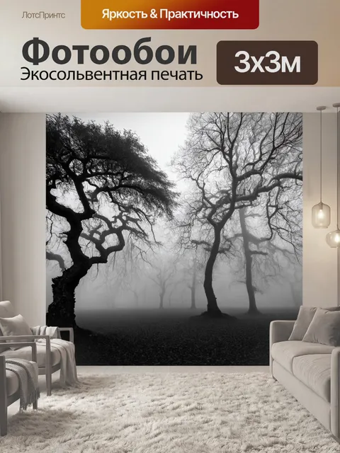 Фотообои туман в стиле черно-белый, старые деревья, обвивающиеся ветви которых покрыты туманом