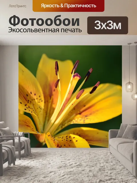 Фотообои Цветы