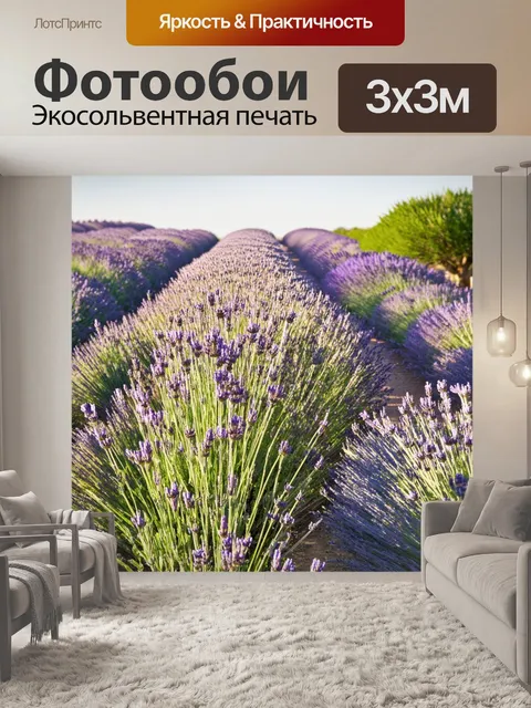Фотообои утро: романтичная сцена в провансальском поле лаванды