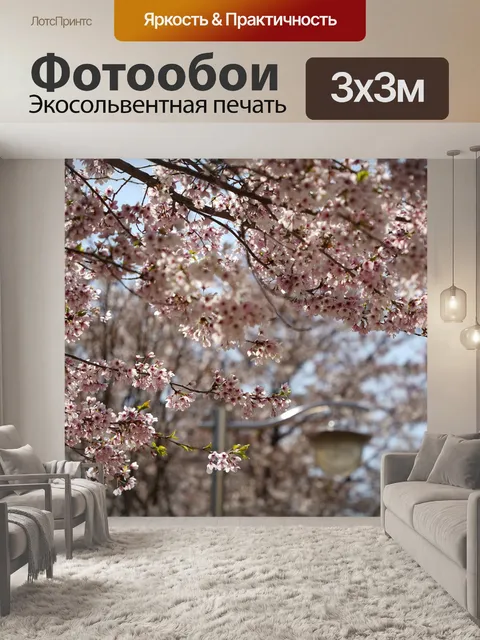 Фотообои Цветение вишни
