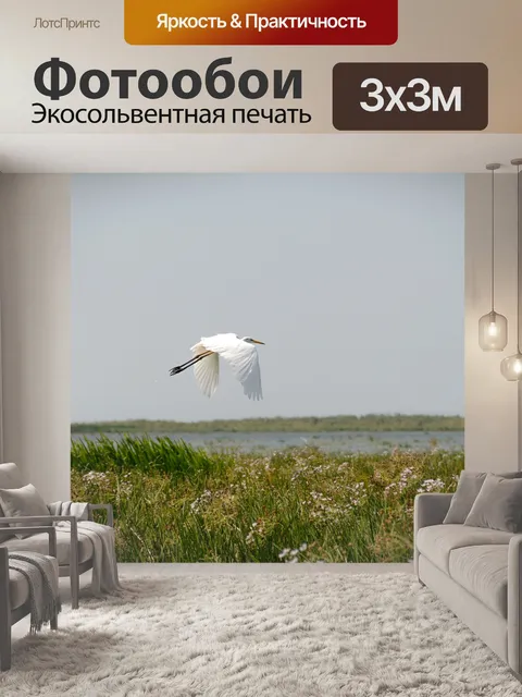 Фотообои Летающая птица