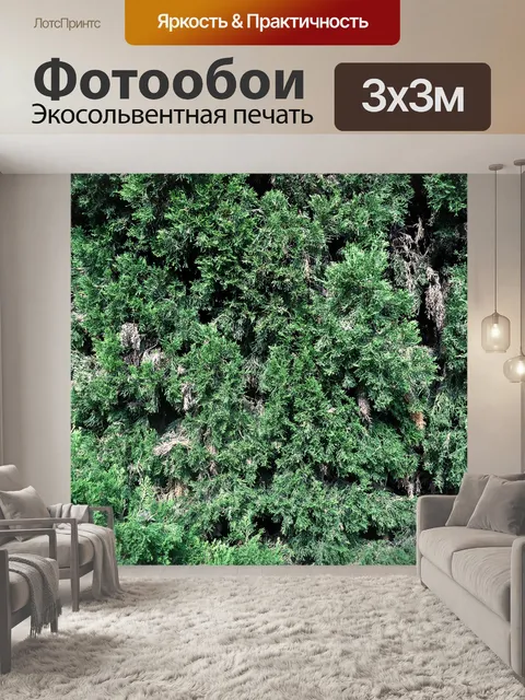 Фотообои Деревья и листья 10