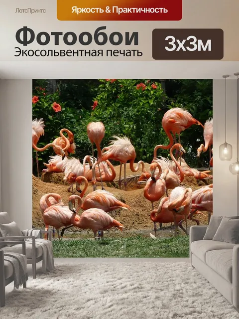 Фотообои Фламинго