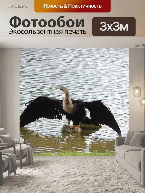 Фотообои Птица