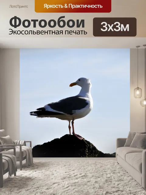 Фотообои Одинокий Чайка