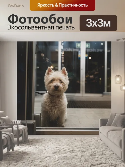 Фотообои Собака