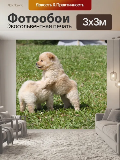 Фотообои Собаки