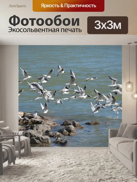 Фотообои Черноголовая чайка