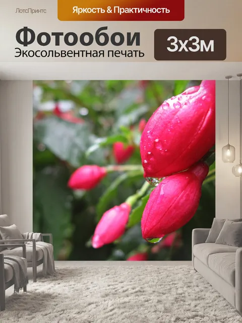 Фотообои Фуксия
