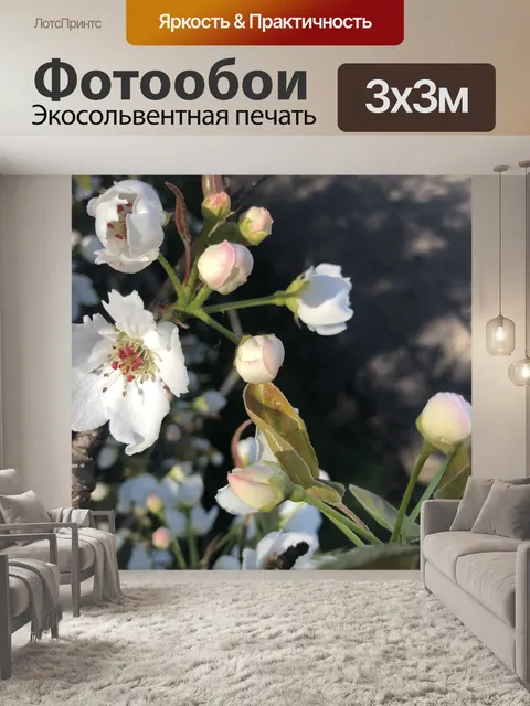 Фотообои Цветок