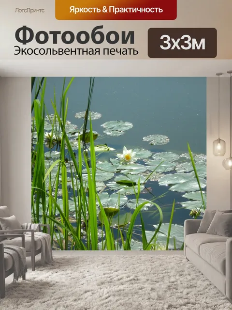 Фотообои Озеро