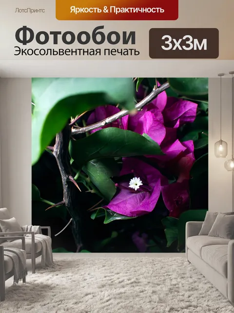 Фотообои Цветы