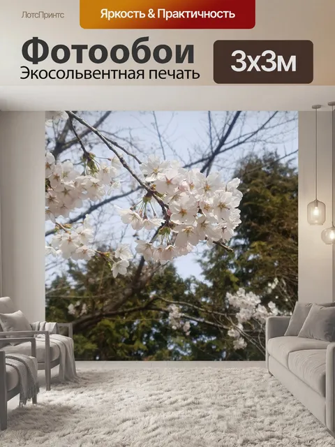 Фотообои 벗꽃