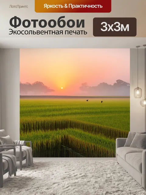 Фотообои япония: восход солнца над рисовыми полями, когда свет начинает пробиваться сквозь утренний туман