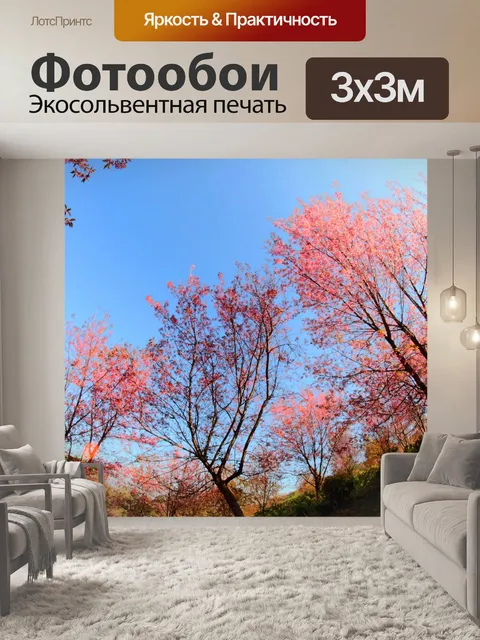 Фотообои Prunus cerasoides, дикая гималайская виш