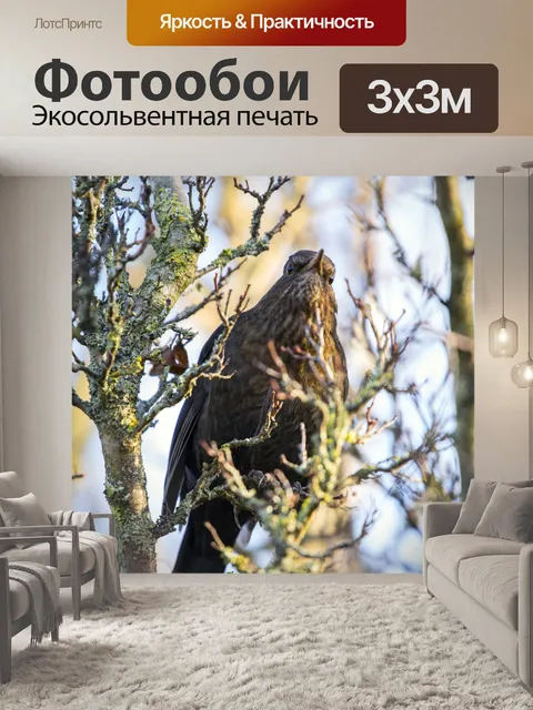 Фотообои Женская черная птица