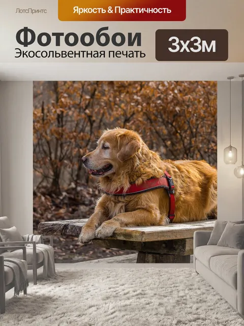 Фотообои Природа